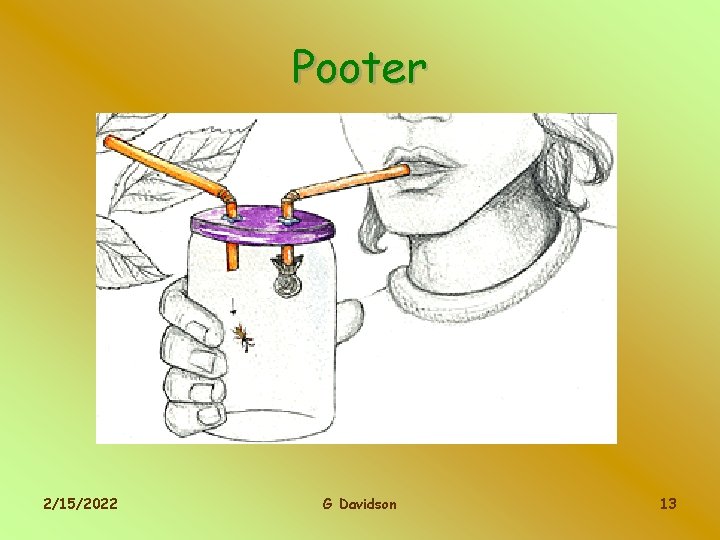 Pooter 2/15/2022 G Davidson 13 