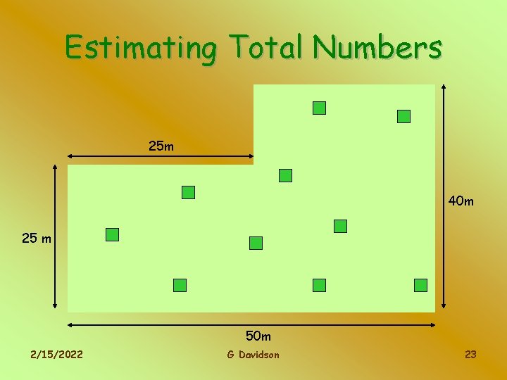 Estimating Total Numbers 25 m 40 m 25 m 50 m 2/15/2022 G Davidson