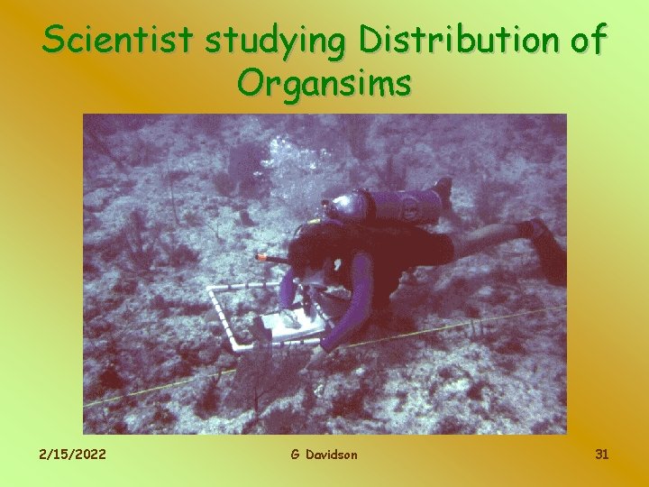 Scientist studying Distribution of Organsims 2/15/2022 G Davidson 31 