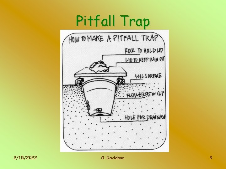Pitfall Trap 2/15/2022 G Davidson 9 