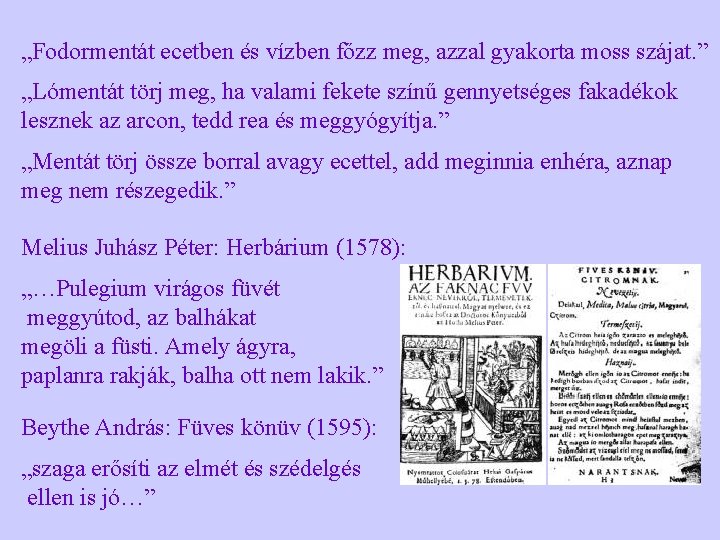 „Fodormentát ecetben és vízben főzz meg, azzal gyakorta moss szájat. ” „Lómentát törj meg,