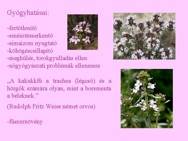 Gyógyhatásai: -fertőtlenítő -emésztésserkentő -simaizom nyugtató -köhögéscsillapító -meghűlés, torokgyulladás ellen -nőgyógyászati problémák ellenszere „A kakukkfű