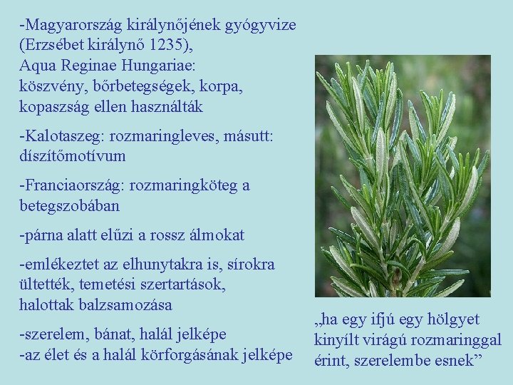 -Magyarország királynőjének gyógyvize (Erzsébet királynő 1235), Aqua Reginae Hungariae: köszvény, bőrbetegségek, korpa, kopaszság ellen