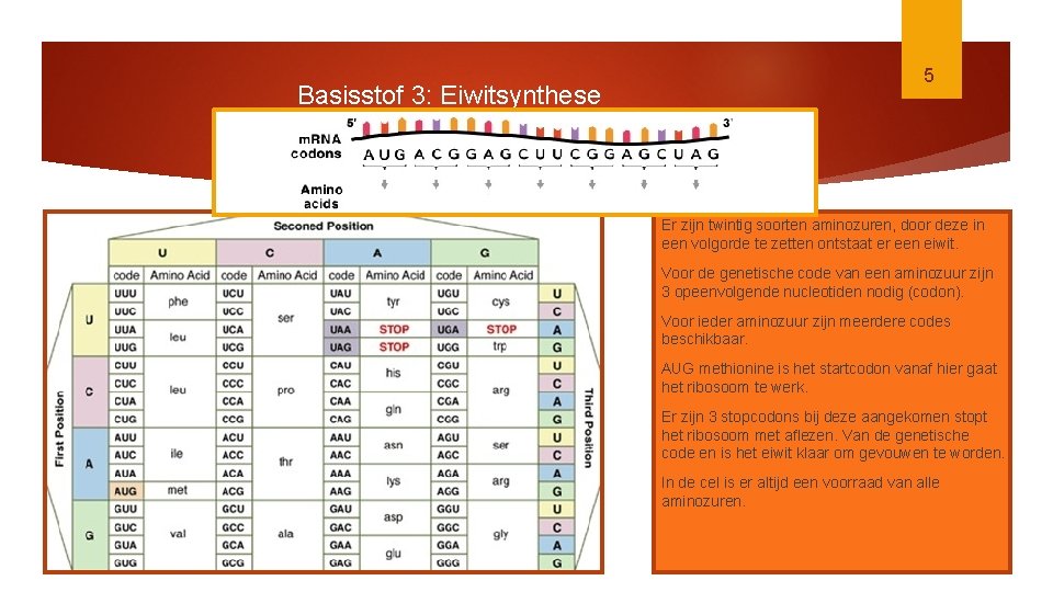 Basisstof 3: Eiwitsynthese 5 Er zijn twintig soorten aminozuren, door deze in een volgorde
