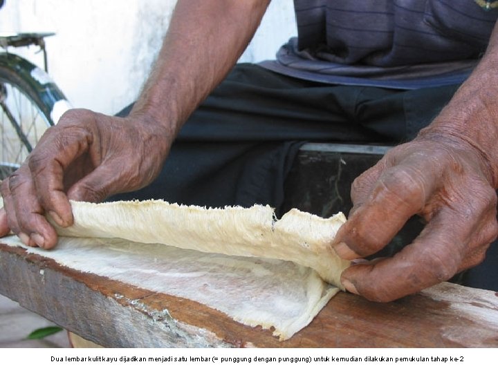 Dua lembar kulit kayu dijadikan menjadi satu lembar (= punggung dengan punggung) untuk kemudian