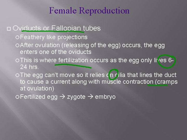 Female Reproduction Oviducts or Fallopian tubes Feathery like projections After ovulation (releasing of the