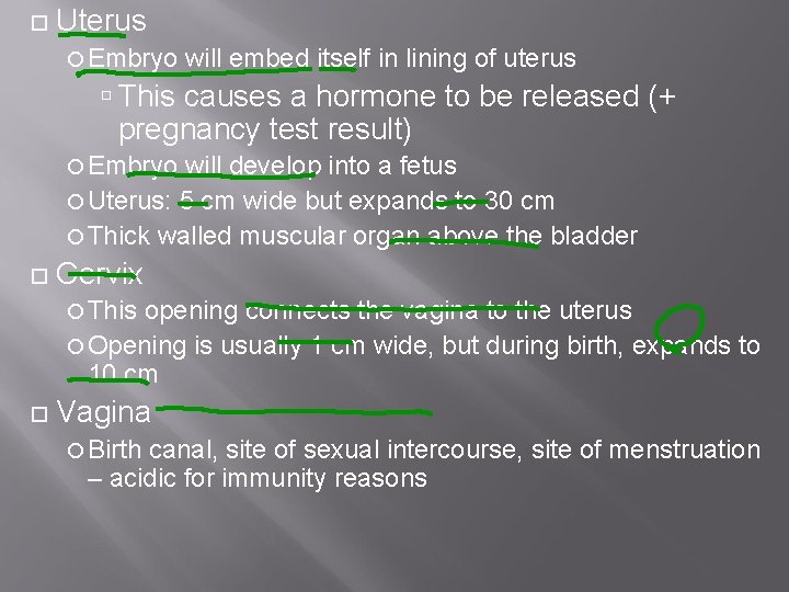  Uterus Embryo will embed itself in lining of uterus This causes a hormone