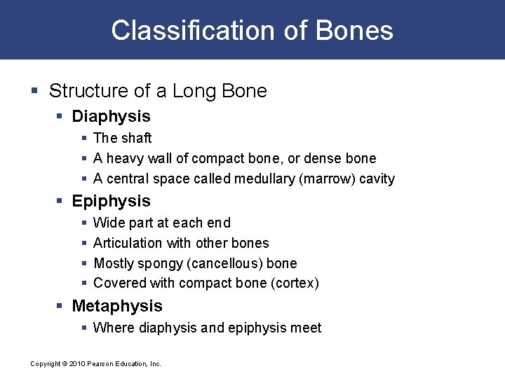 Classification of Bones § Structure of a Long Bone § Diaphysis § The shaft