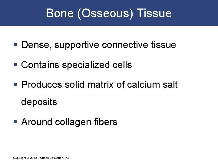 Bone (Osseous) Tissue § Dense, supportive connective tissue § Contains specialized cells § Produces