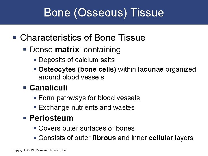 Bone (Osseous) Tissue § Characteristics of Bone Tissue § Dense matrix, containing § Deposits