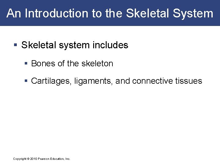 An Introduction to the Skeletal System § Skeletal system includes § Bones of the