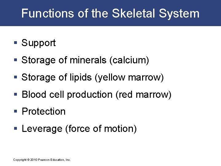 Functions of the Skeletal System § Support § Storage of minerals (calcium) § Storage