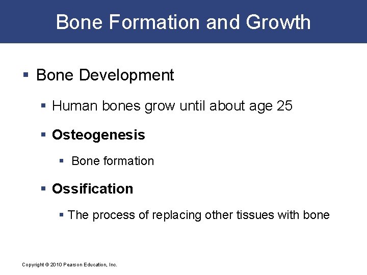 Bone Formation and Growth § Bone Development § Human bones grow until about age