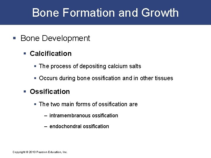 Bone Formation and Growth § Bone Development § Calcification § The process of depositing