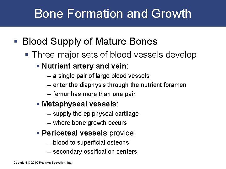 Bone Formation and Growth § Blood Supply of Mature Bones § Three major sets