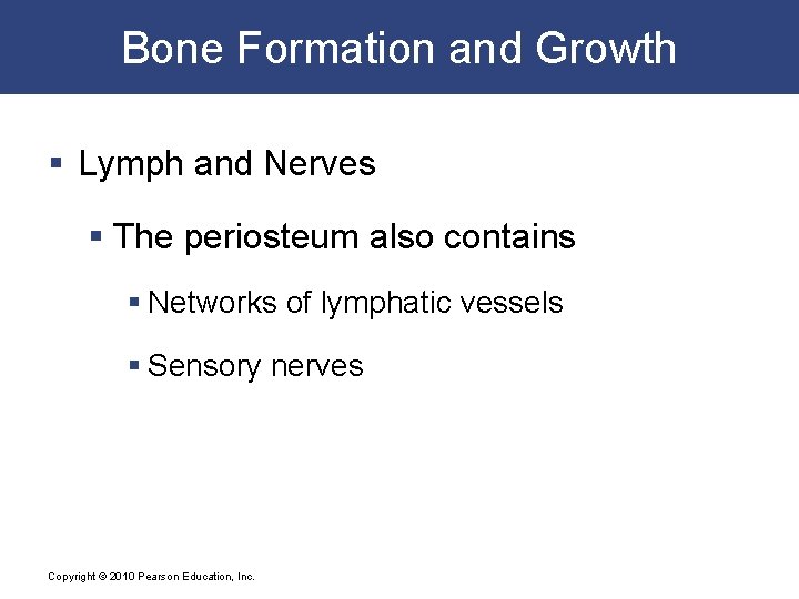 Bone Formation and Growth § Lymph and Nerves § The periosteum also contains §