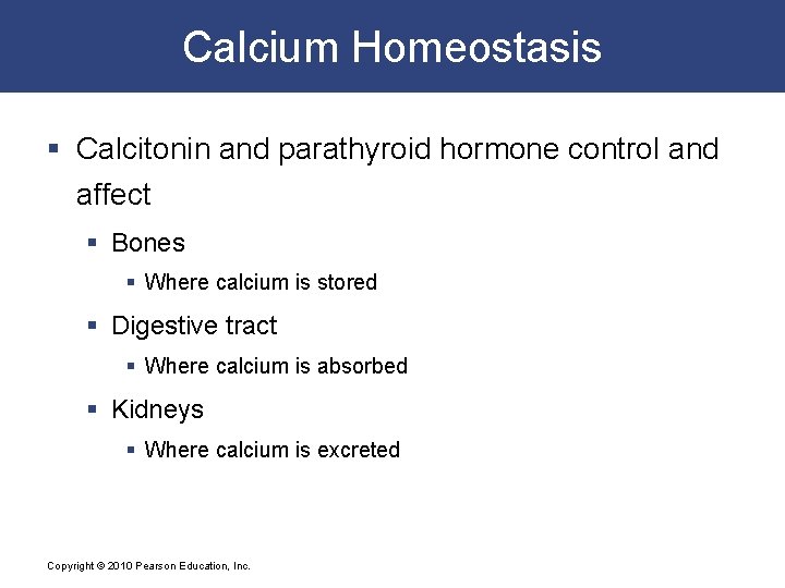 Calcium Homeostasis § Calcitonin and parathyroid hormone control and affect § Bones § Where