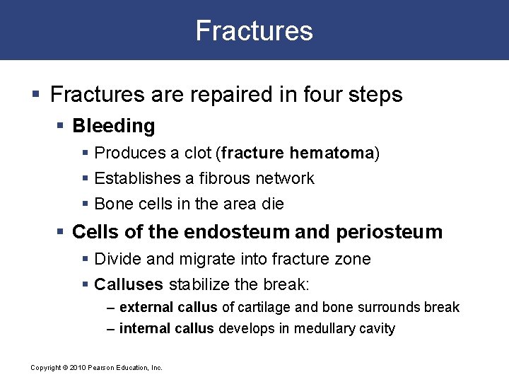 Fractures § Fractures are repaired in four steps § Bleeding § Produces a clot