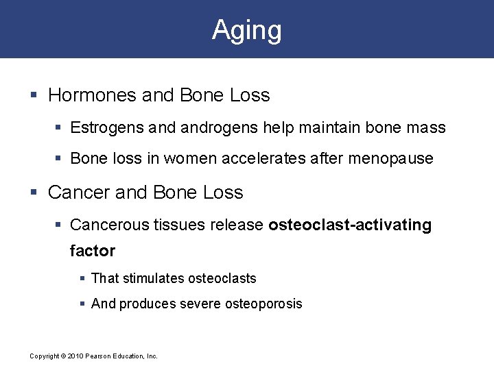Aging § Hormones and Bone Loss § Estrogens androgens help maintain bone mass §