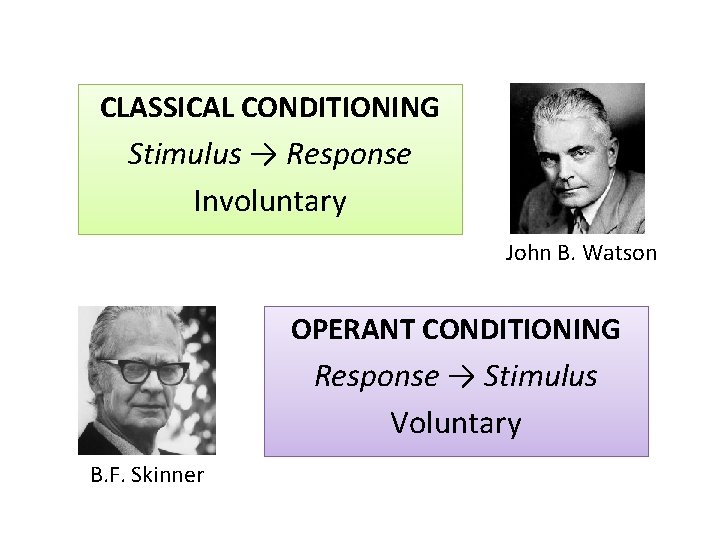 CLASSICAL CONDITIONING Stimulus → Response Involuntary John B. Watson OPERANT CONDITIONING Response → Stimulus