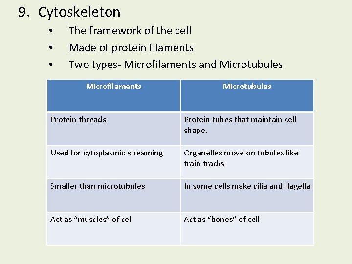 9. Cytoskeleton • • • The framework of the cell Made of protein filaments