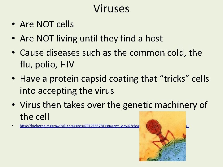 Viruses • Are NOT cells • Are NOT living until they find a host