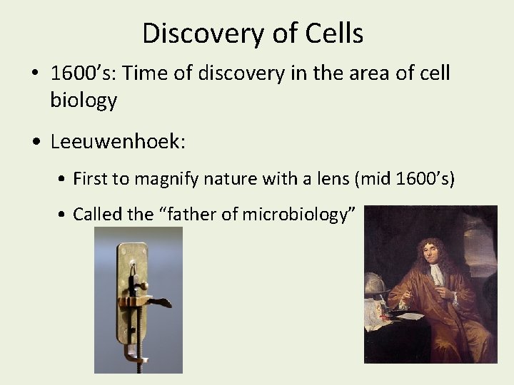 Discovery of Cells • 1600’s: Time of discovery in the area of cell biology