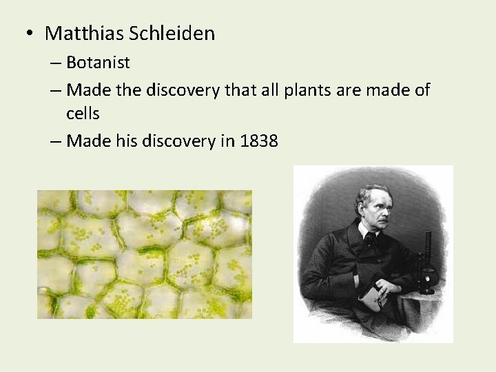  • Matthias Schleiden – Botanist – Made the discovery that all plants are