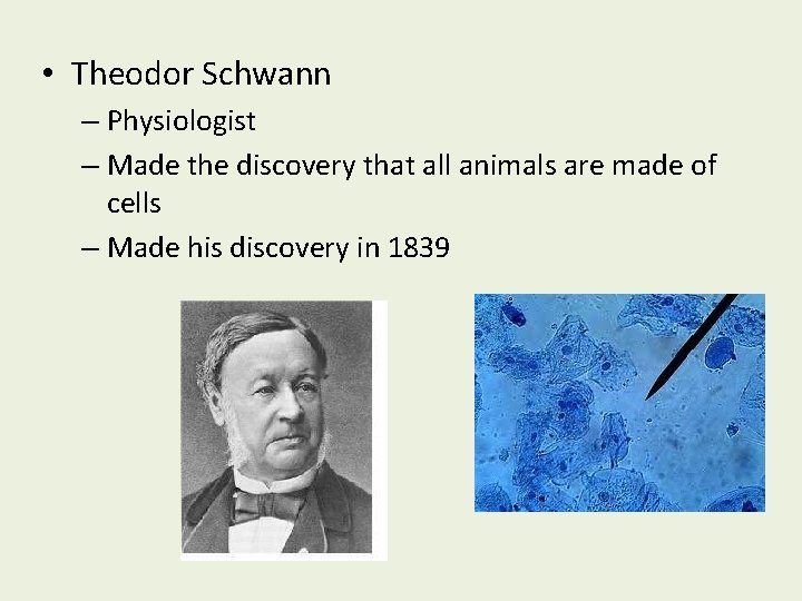  • Theodor Schwann – Physiologist – Made the discovery that all animals are