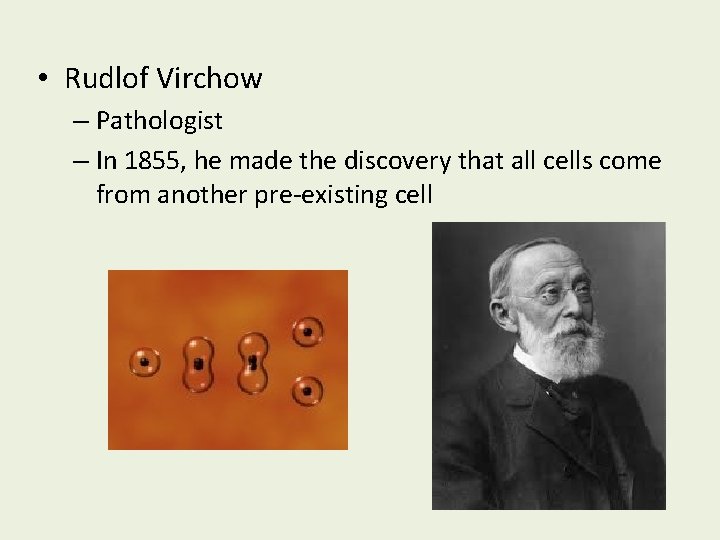  • Rudlof Virchow – Pathologist – In 1855, he made the discovery that