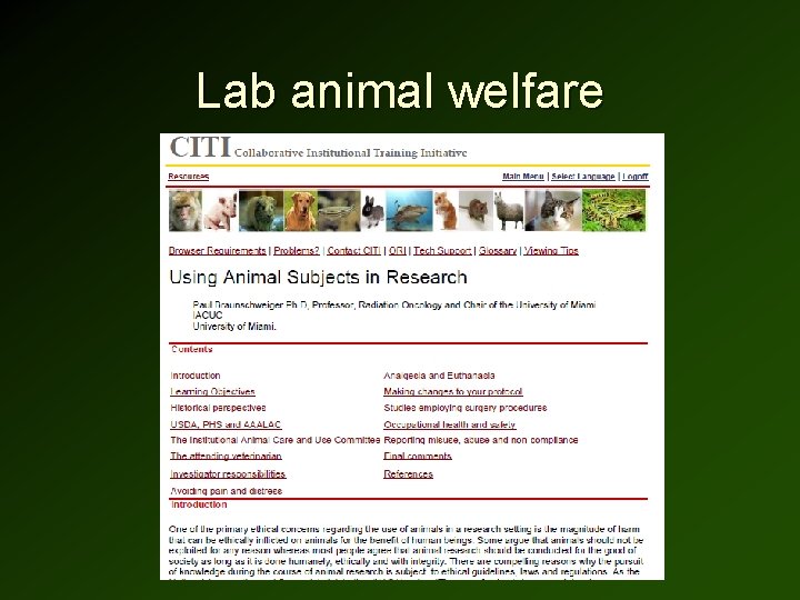 Lab animal welfare 