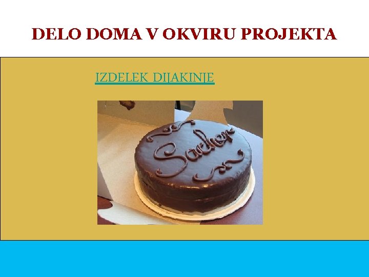 DELO DOMA V OKVIRU PROJEKTA IZDELEK DIJAKINJE 