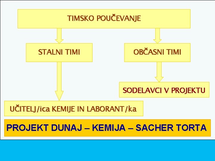 TIMSKO POUČEVANJE STALNI TIMI OBČASNI TIMI SODELAVCI V PROJEKTU UČITELJ/ica KEMIJE IN LABORANT/ka PROJEKT