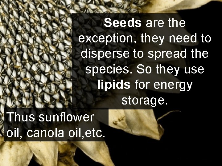 Seeds are the exception, they need to disperse to spread the species. So they