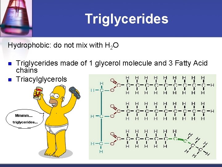 Triglycerides Hydrophobic: do not mix with H 2 O n n Triglycerides made of