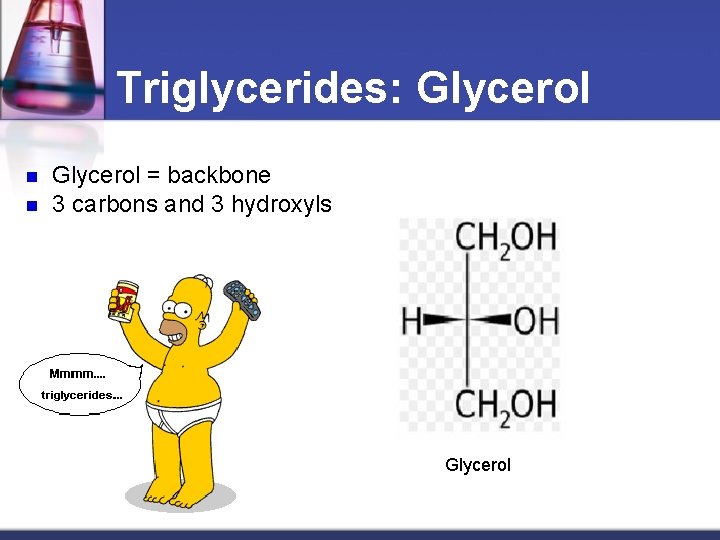 Triglycerides: Glycerol n n Glycerol = backbone 3 carbons and 3 hydroxyls Glycerol 