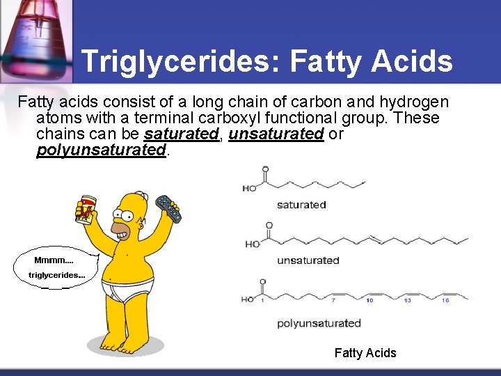 Triglycerides: Fatty Acids Fatty acids consist of a long chain of carbon and hydrogen