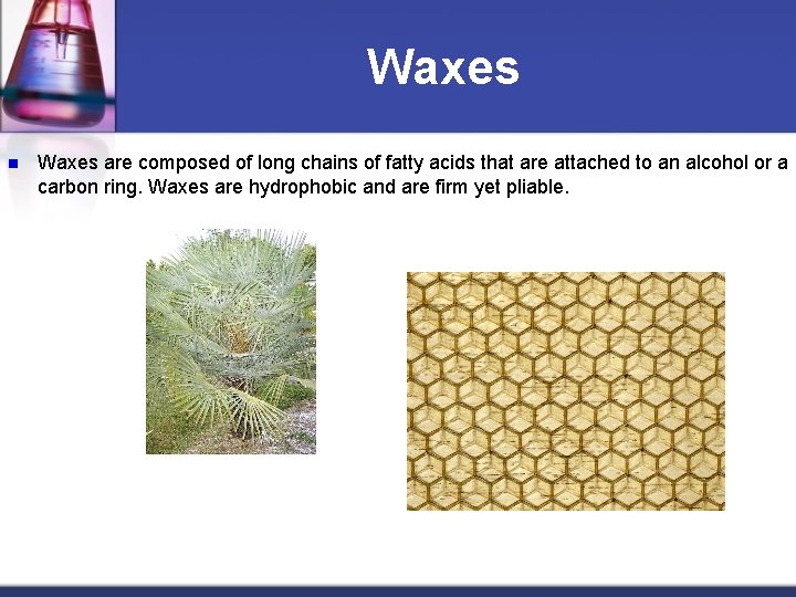 Waxes n Waxes are composed of long chains of fatty acids that are attached