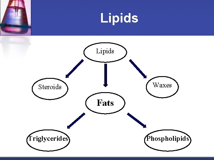 Lipids Waxes Steroids Fats Triglycerides Phospholipids 