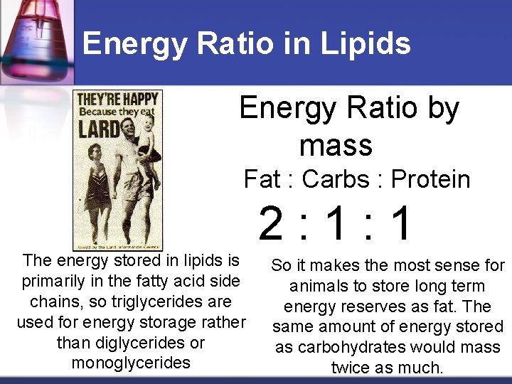 Energy Ratio in Lipids Energy Ratio by mass Fat : Carbs : Protein 2: