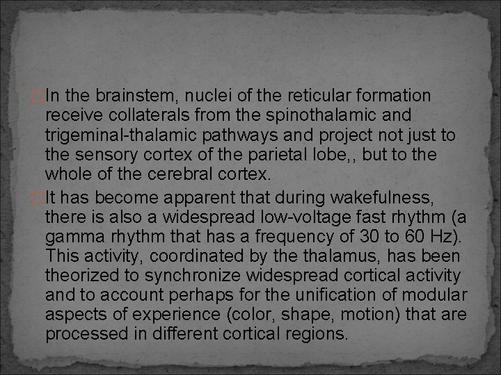 �In the brainstem, nuclei of the reticular formation receive collaterals from the spinothalamic and