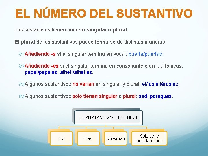 EL NÚMERO DEL SUSTANTIVO Los sustantivos tienen número singular o plural. El plural de