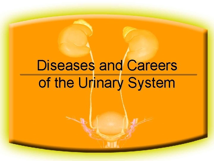Diseases and Careers of the Urinary System 