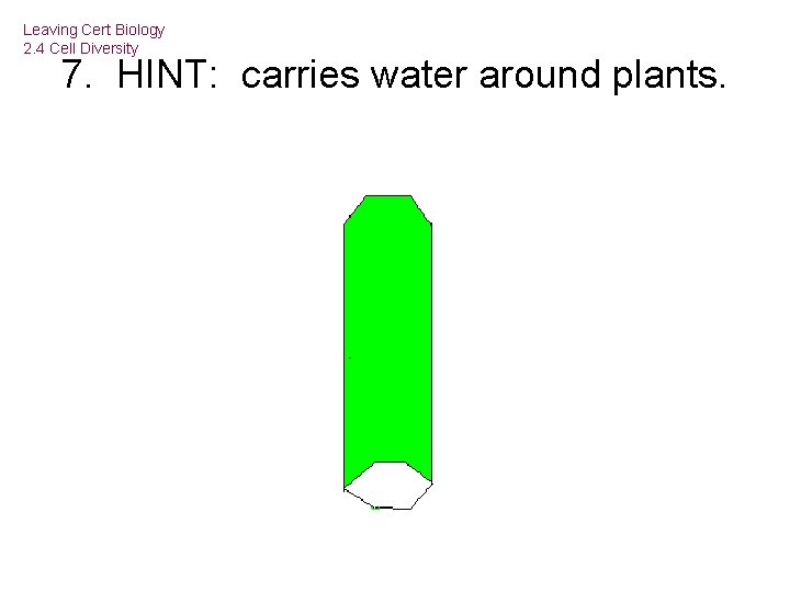Leaving Cert Biology 2. 4 Cell Diversity 7. HINT: carries water around plants. 