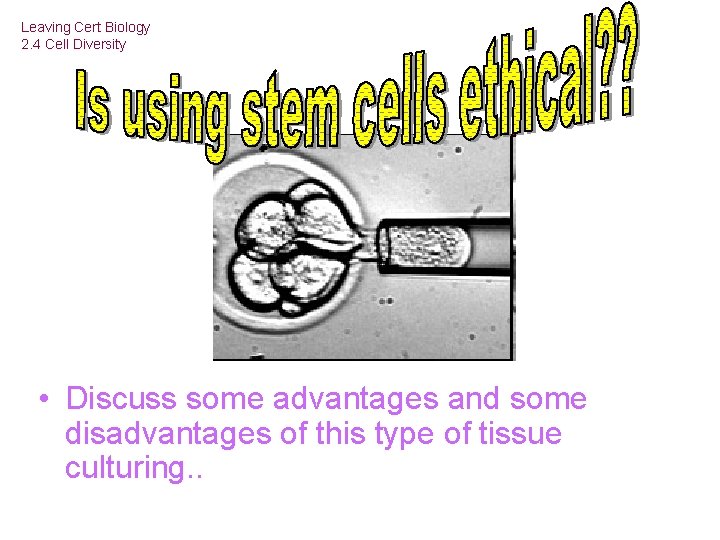 Leaving Cert Biology 2. 4 Cell Diversity • Discuss some advantages and some disadvantages