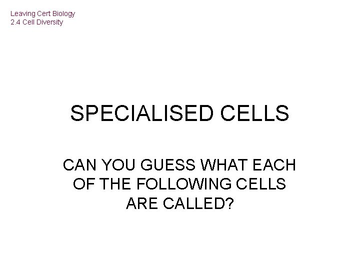 Leaving Cert Biology 2. 4 Cell Diversity SPECIALISED CELLS CAN YOU GUESS WHAT EACH