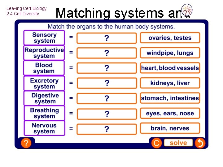 Leaving Cert Biology 2. 4 Cell Diversity Matching systems and organs 