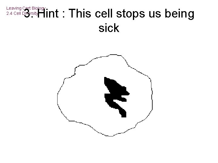 Leaving Cert Biology 2. 4 Cell Diversity 3. Hint : This cell stops us