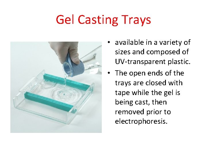 Gel Casting Trays • available in a variety of sizes and composed of UV-transparent
