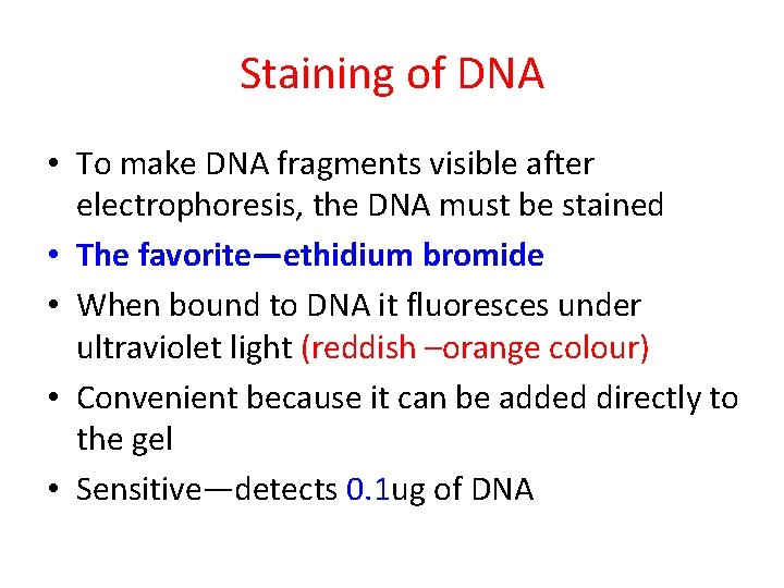Staining of DNA • To make DNA fragments visible after electrophoresis, the DNA must